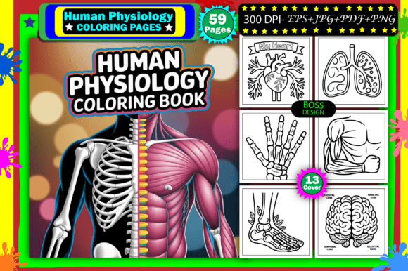 Download Human Physiology Coloring for Adults - Coloring for adults Collection